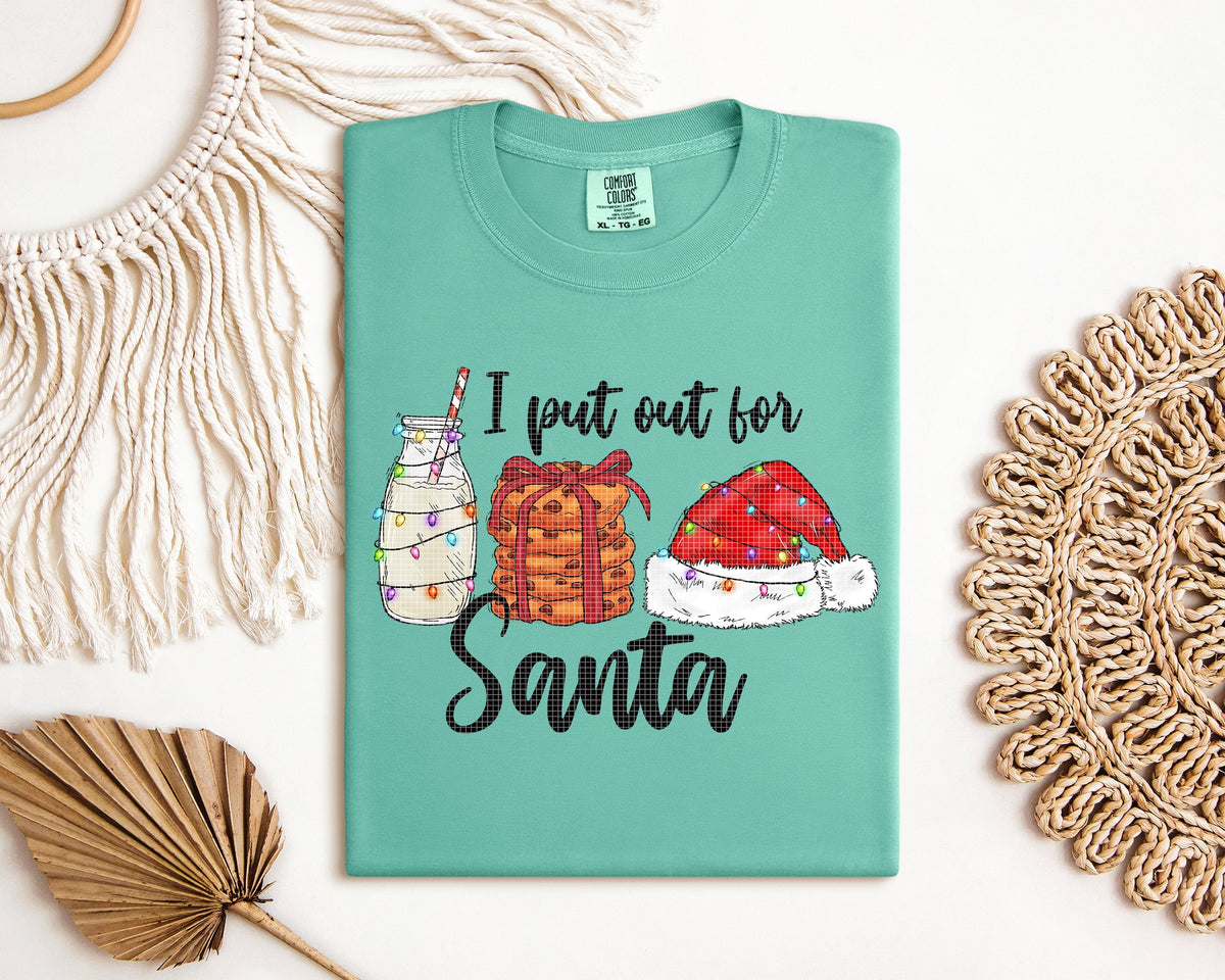 I Put Out for Santa Graphic Tee product image 2